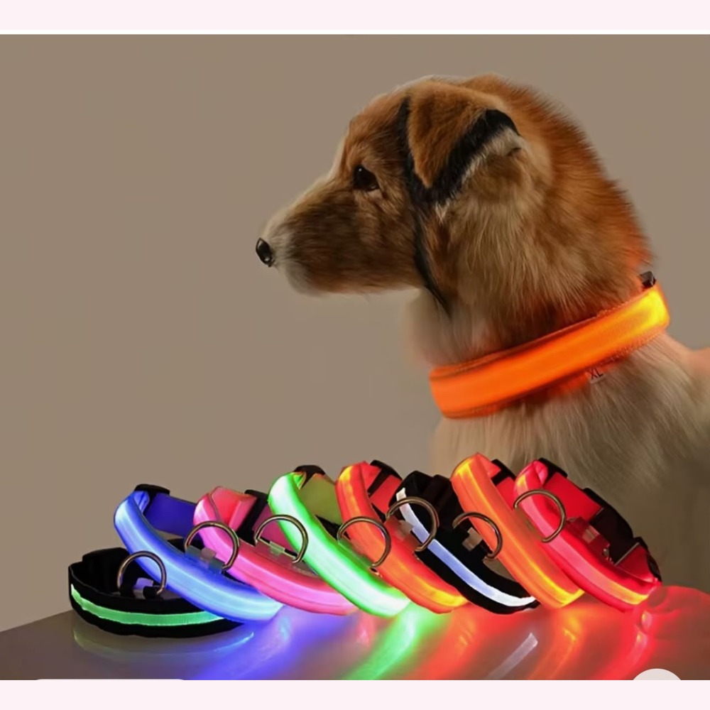 Nylon led noite segurança piscando brilho no escuro trela do cão cães luminoso fluorescente coleira do cão de estimação